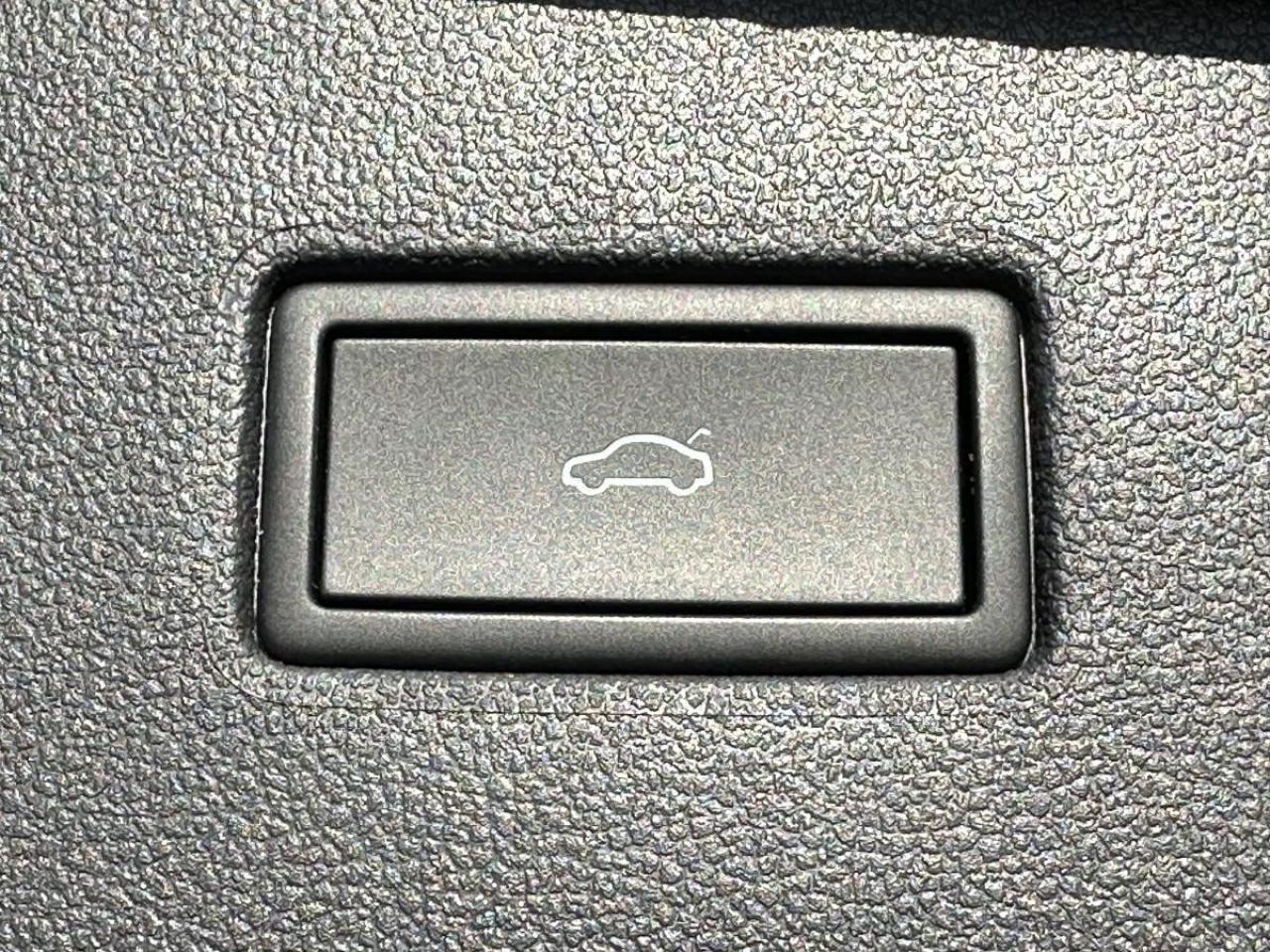 2024 Volkswagen Tiguan Comfortline 4MOTION AWD Photo