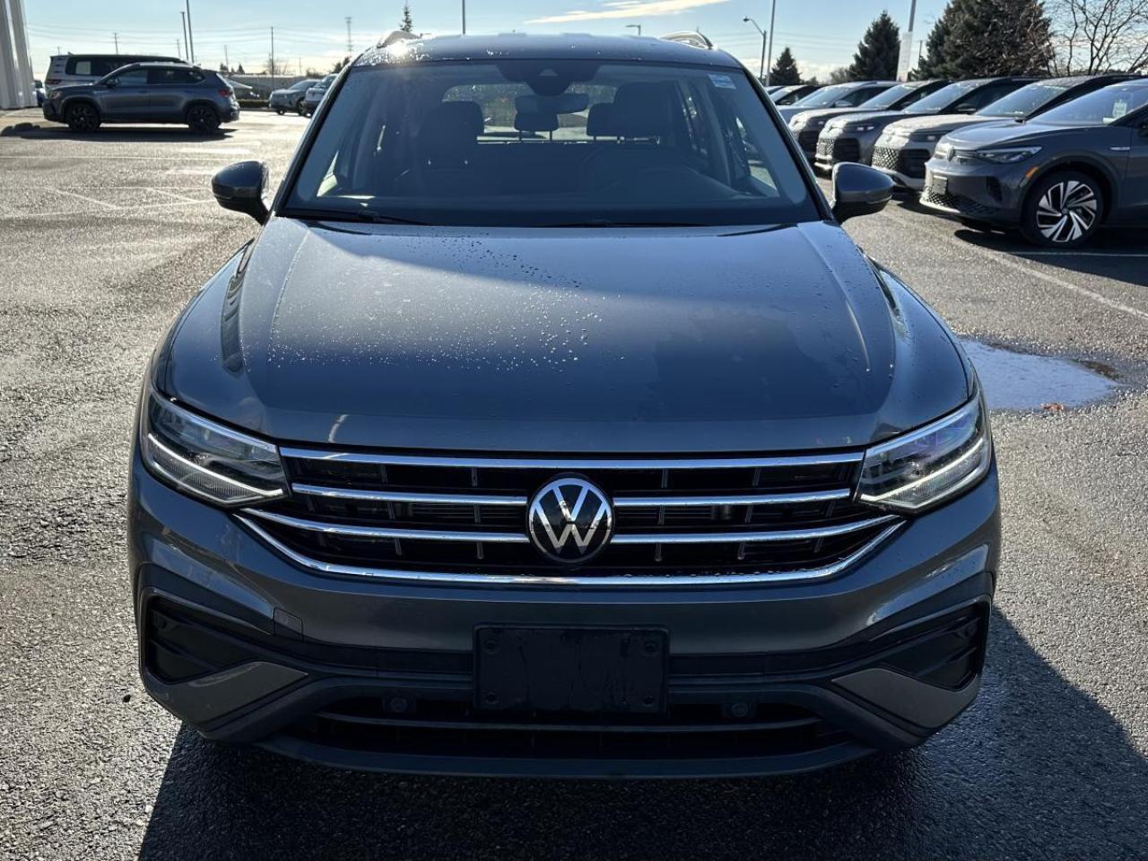 2024 Volkswagen Tiguan Comfortline 4MOTION AWD Photo