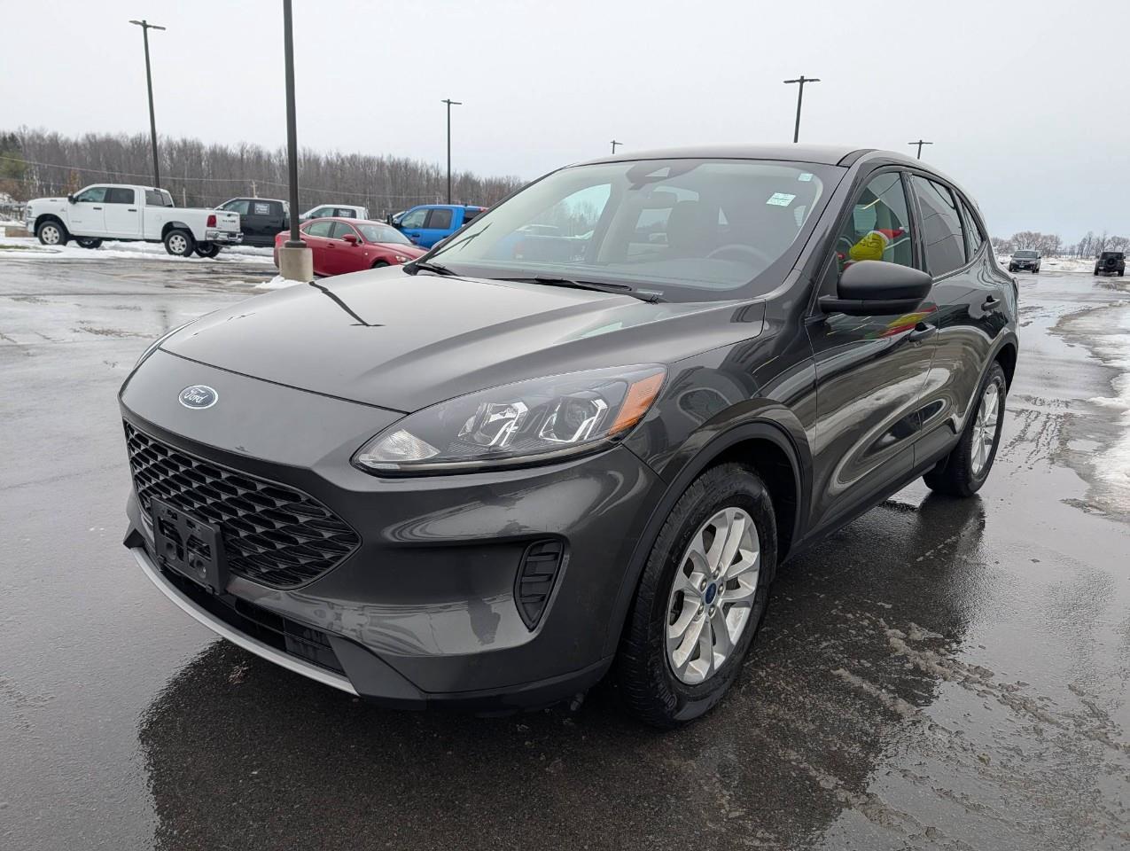 2020 Ford Escape S Photo