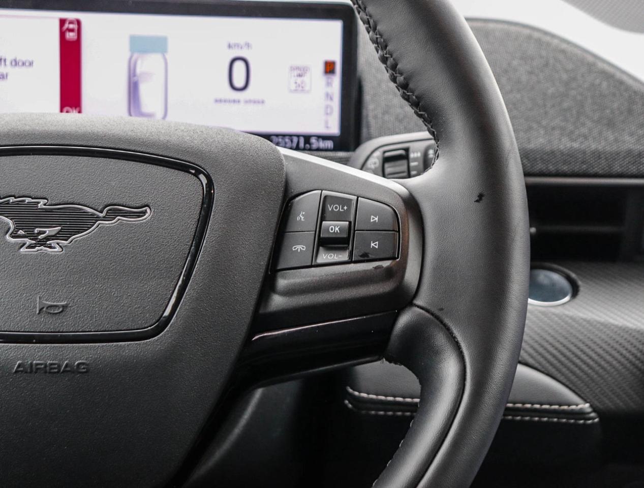 2024 Ford Mustang Mach-E Premium Photo