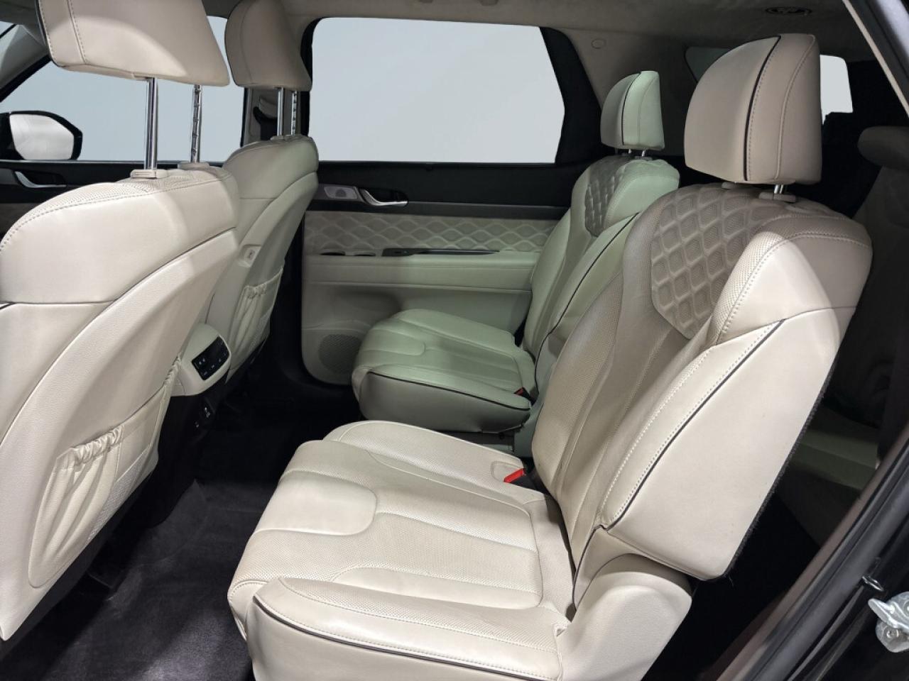 2021 Hyundai PALISADE Ultimate Calligraphy 7-PassengerAWD/ Top of the li Photo