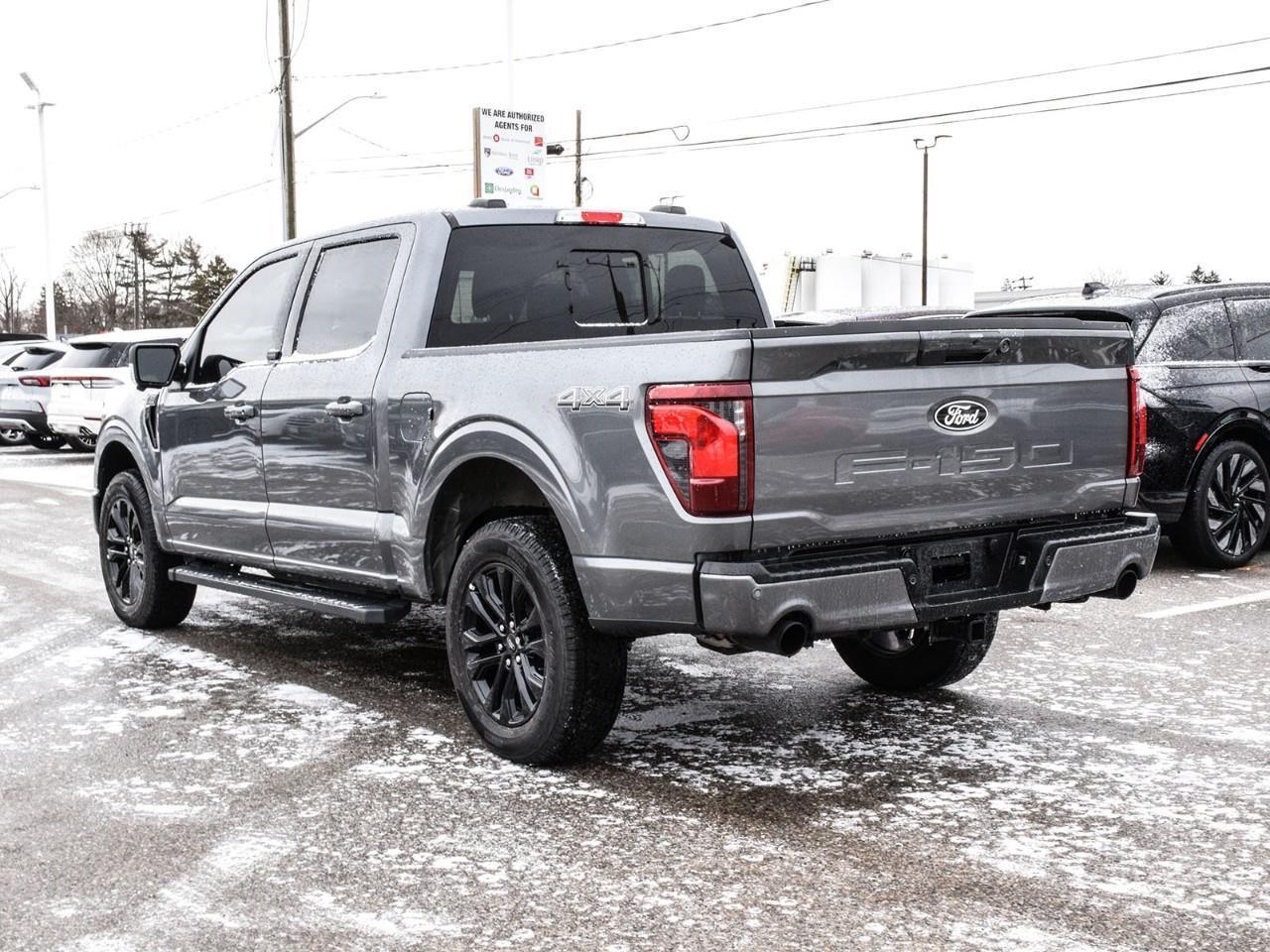 2025 Ford F-150 XLT Photo