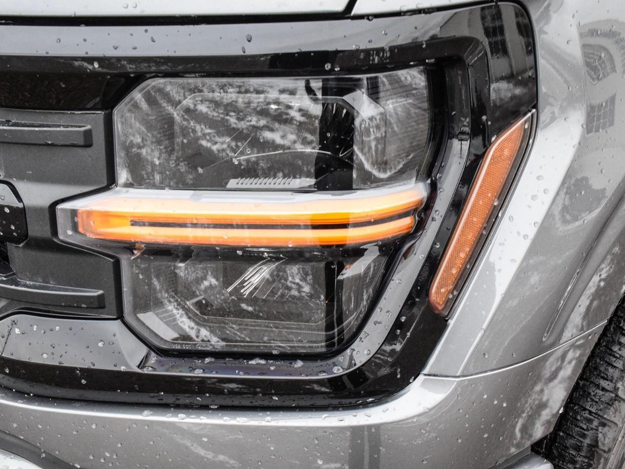 2025 Ford F-150 XLT Photo