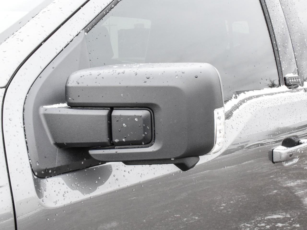 2025 Ford F-150 XLT Photo