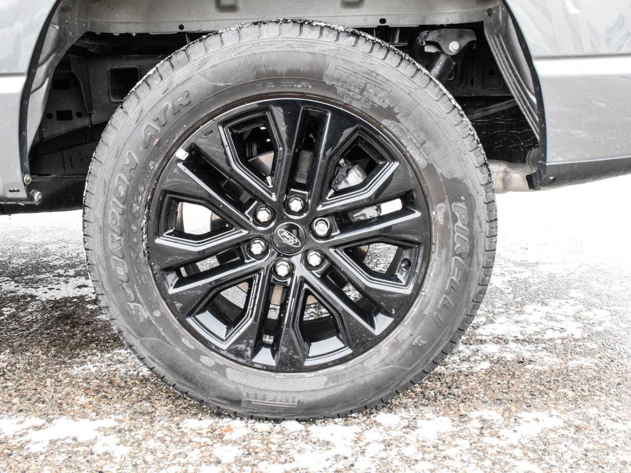 2025 Ford F-150 XLT Photo