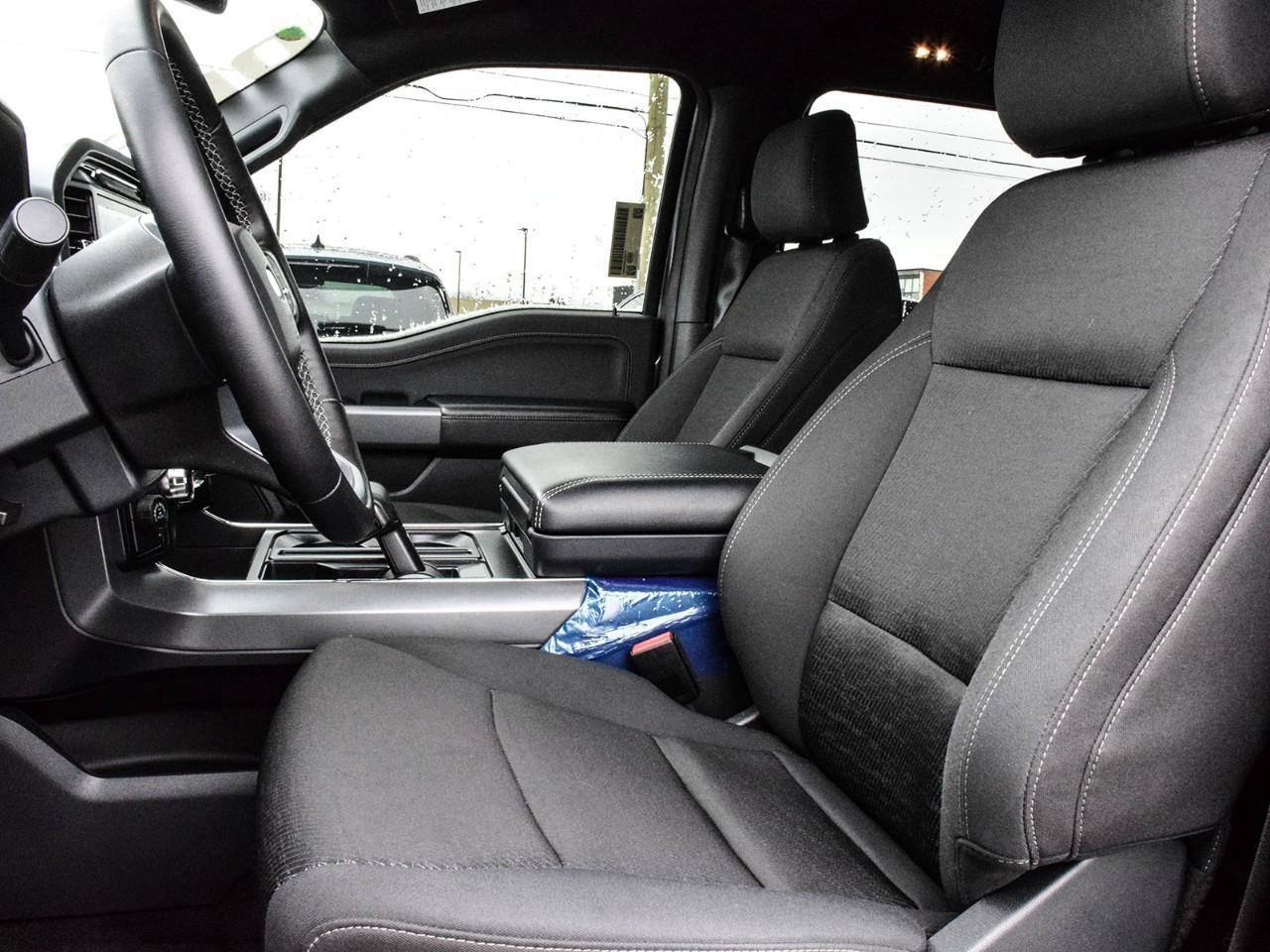 2025 Ford F-150 XLT Photo