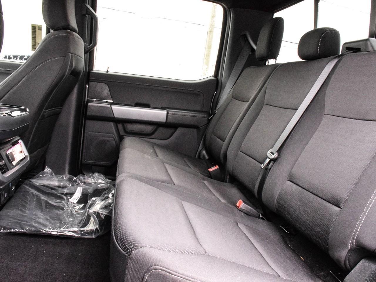 2025 Ford F-150 XLT Photo