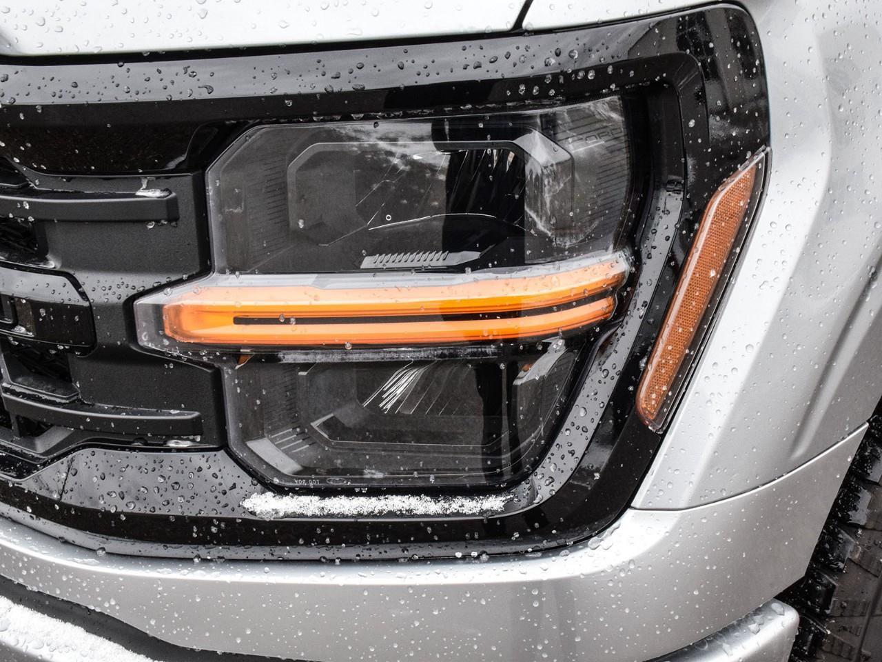 2025 Ford F-150 XLT Photo