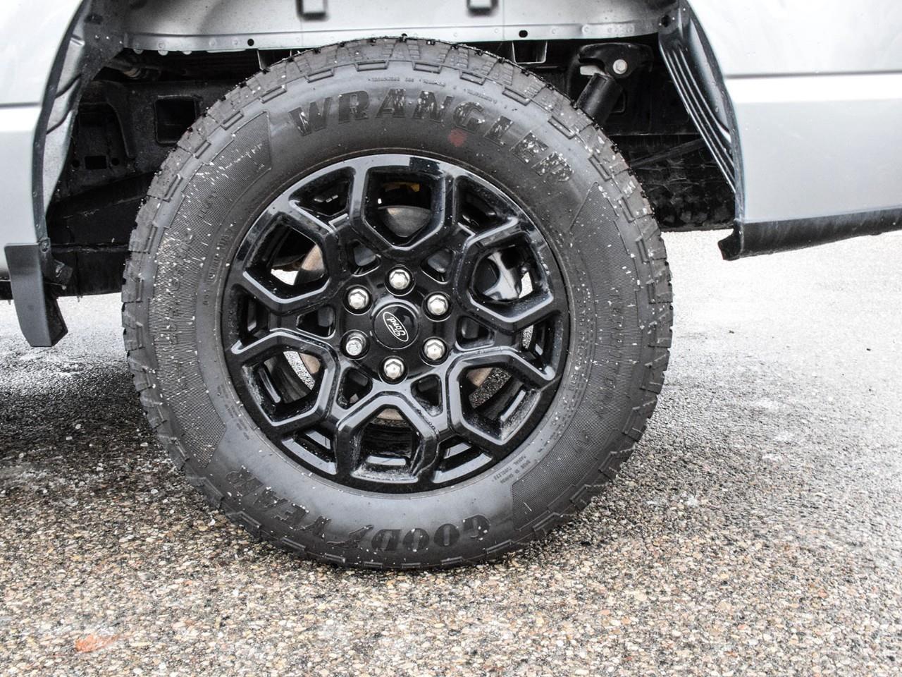 2025 Ford F-150 XLT Photo