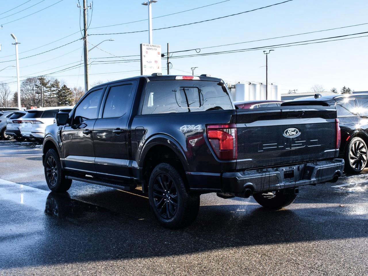 2025 Ford F-150 XLT Photo