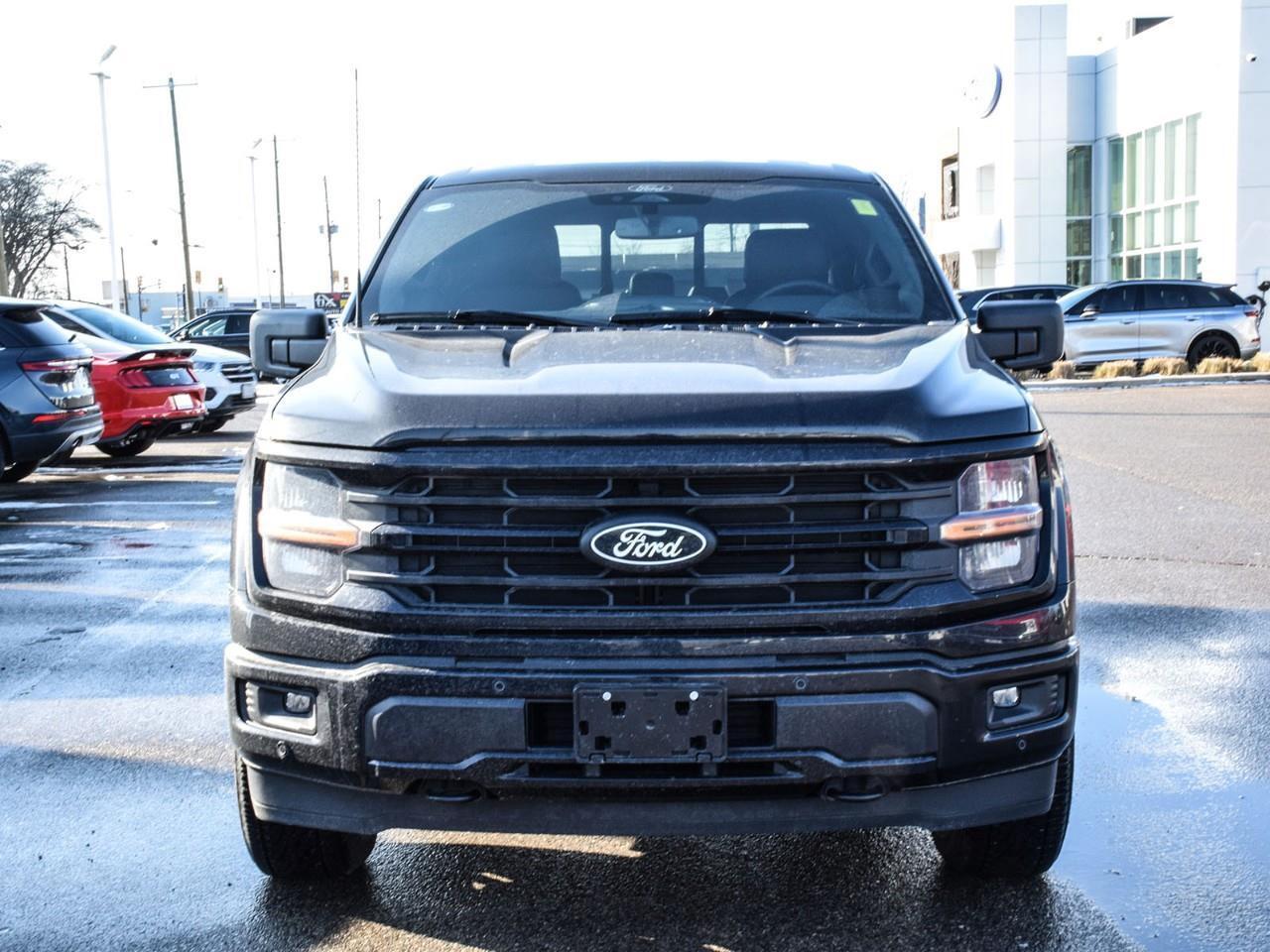 2025 Ford F-150 XLT Photo