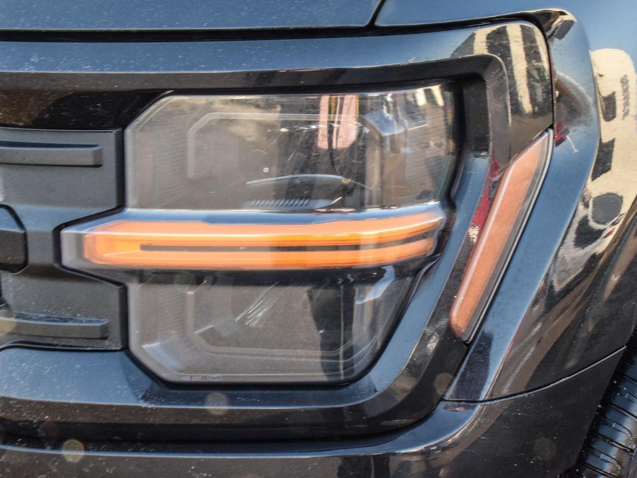 2025 Ford F-150 XLT Photo