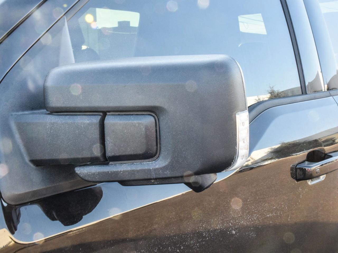 2025 Ford F-150 XLT Photo