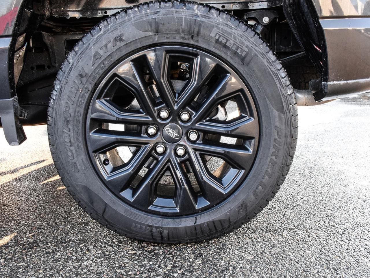 2025 Ford F-150 XLT Photo