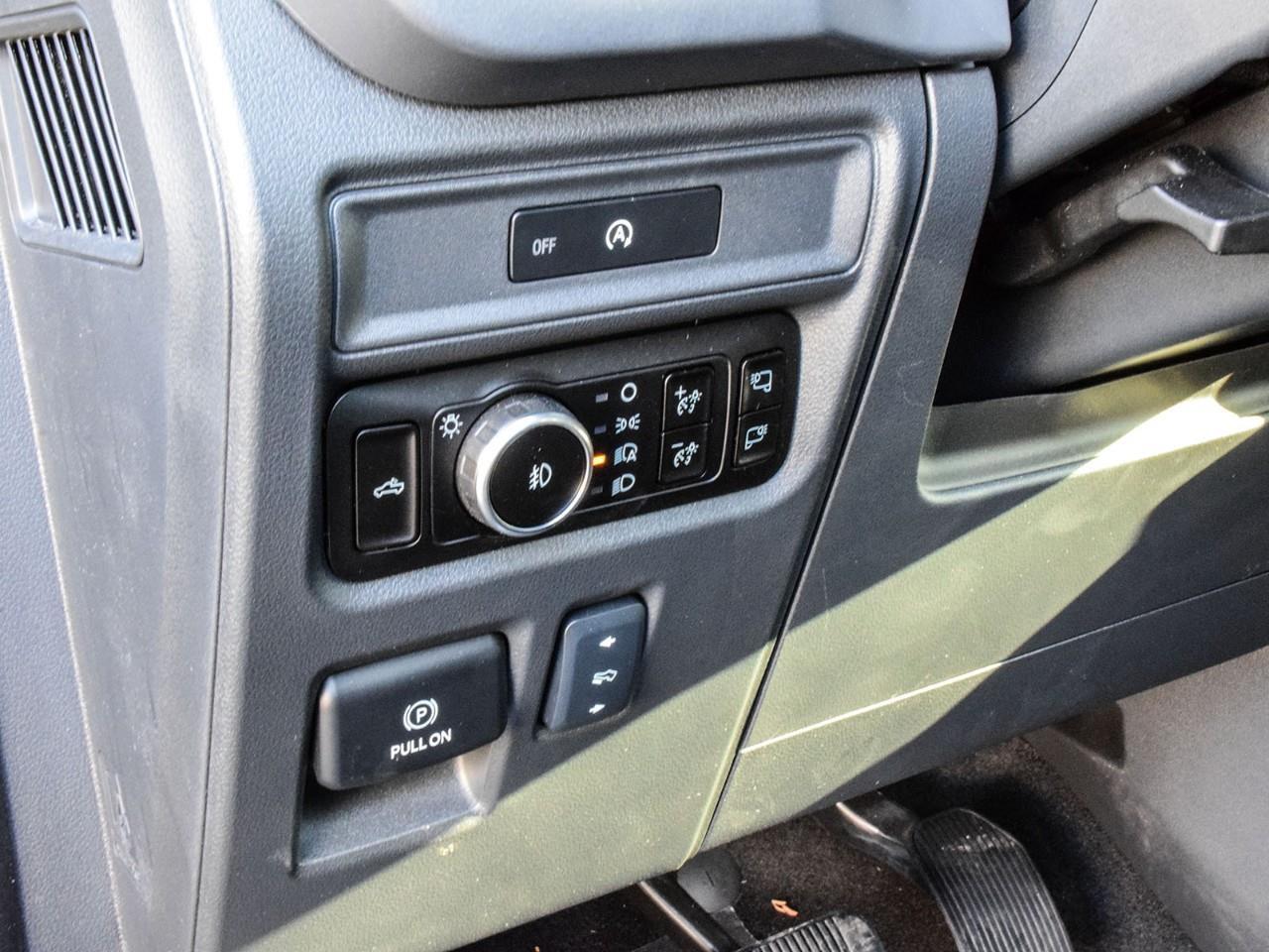 2025 Ford F-150 XLT Photo