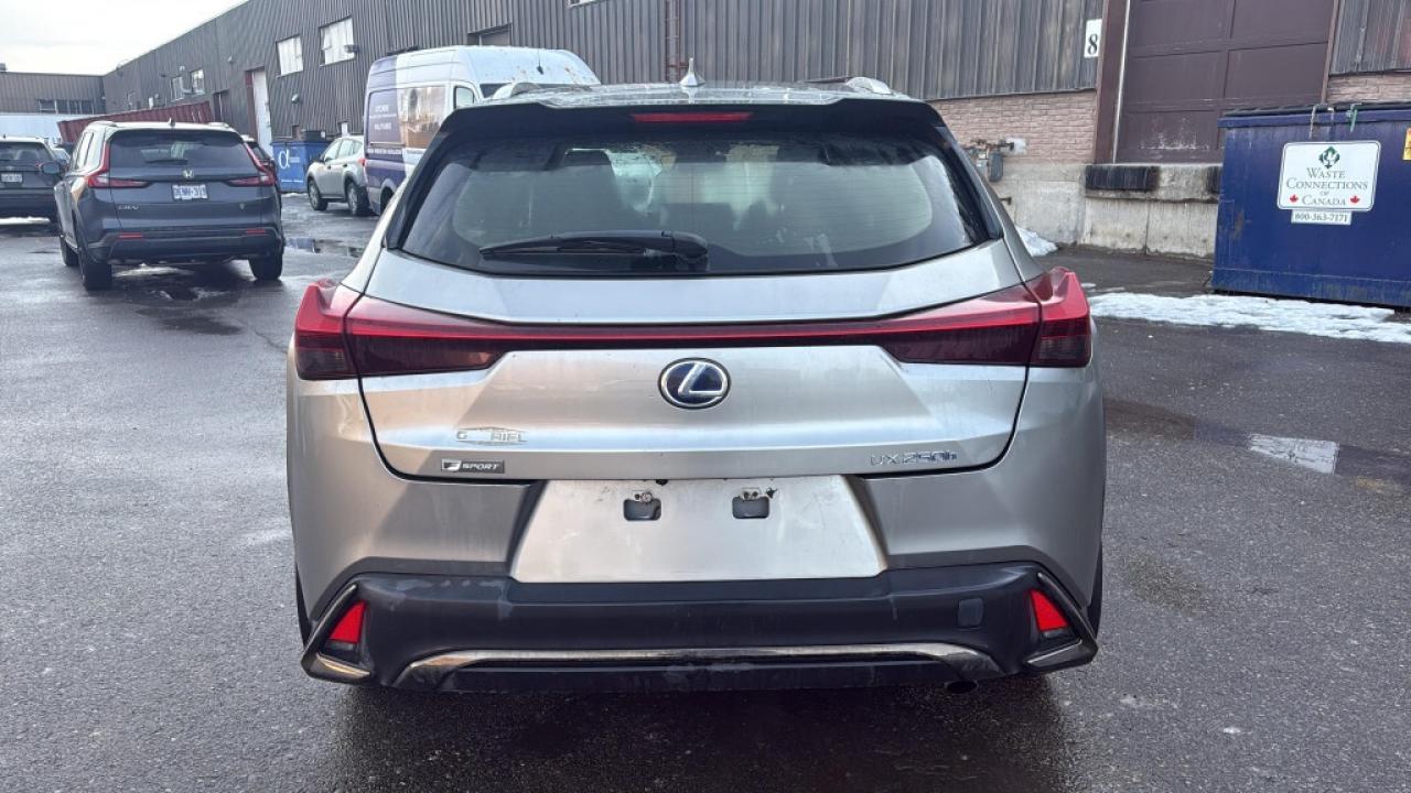 2019 Lexus UX 250H Luxury AWD/Drive Assist/ Lane Depart/Leather/NAVi/ Photo