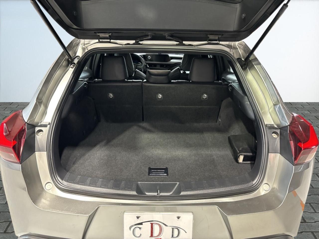 2019 Lexus UX 250H F Sport PKG /Luxury AWD/Drive Assist/ Lane Depart/ Photo