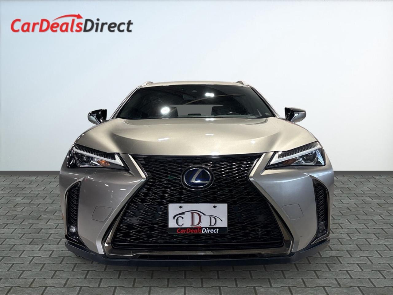 2019 Lexus UX 250H F Sport PKG AWD / Drive Assist / Lane Departure / Photo