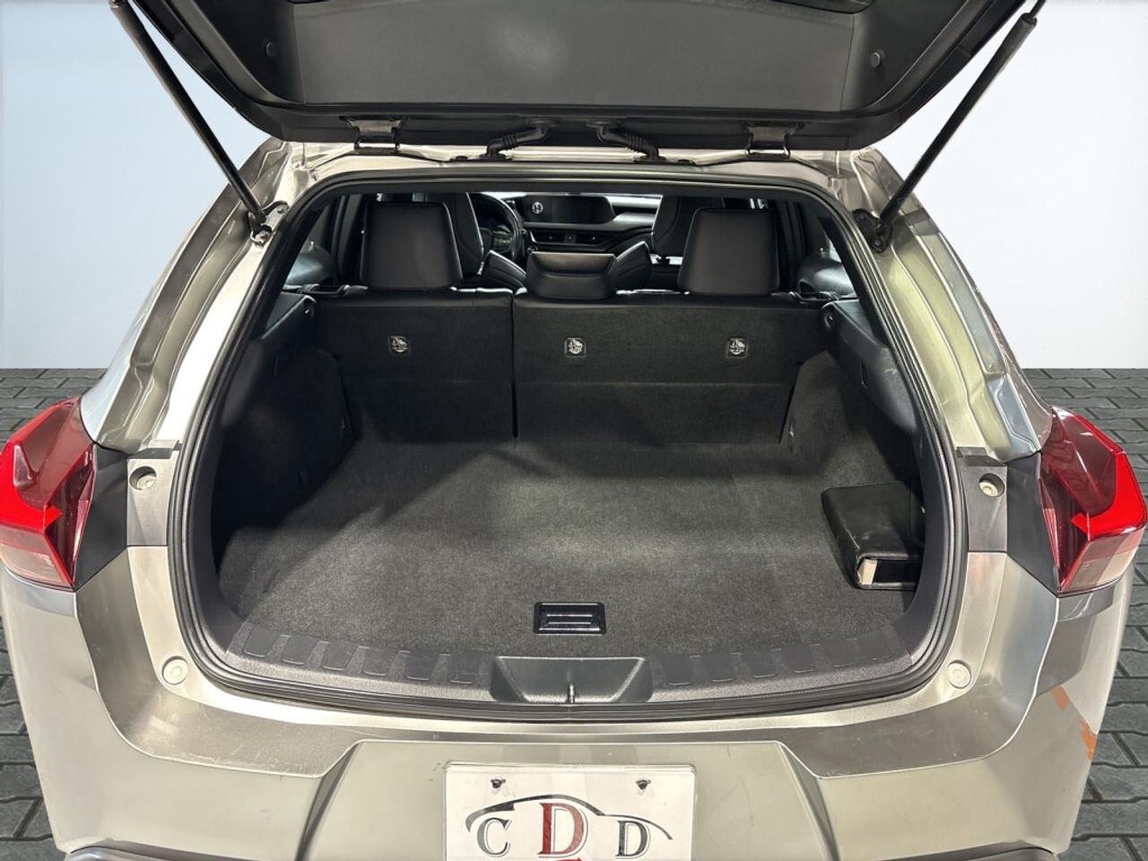 2019 Lexus UX 250H F Sport PKG AWD / Drive Assist / Lane Departure / Photo