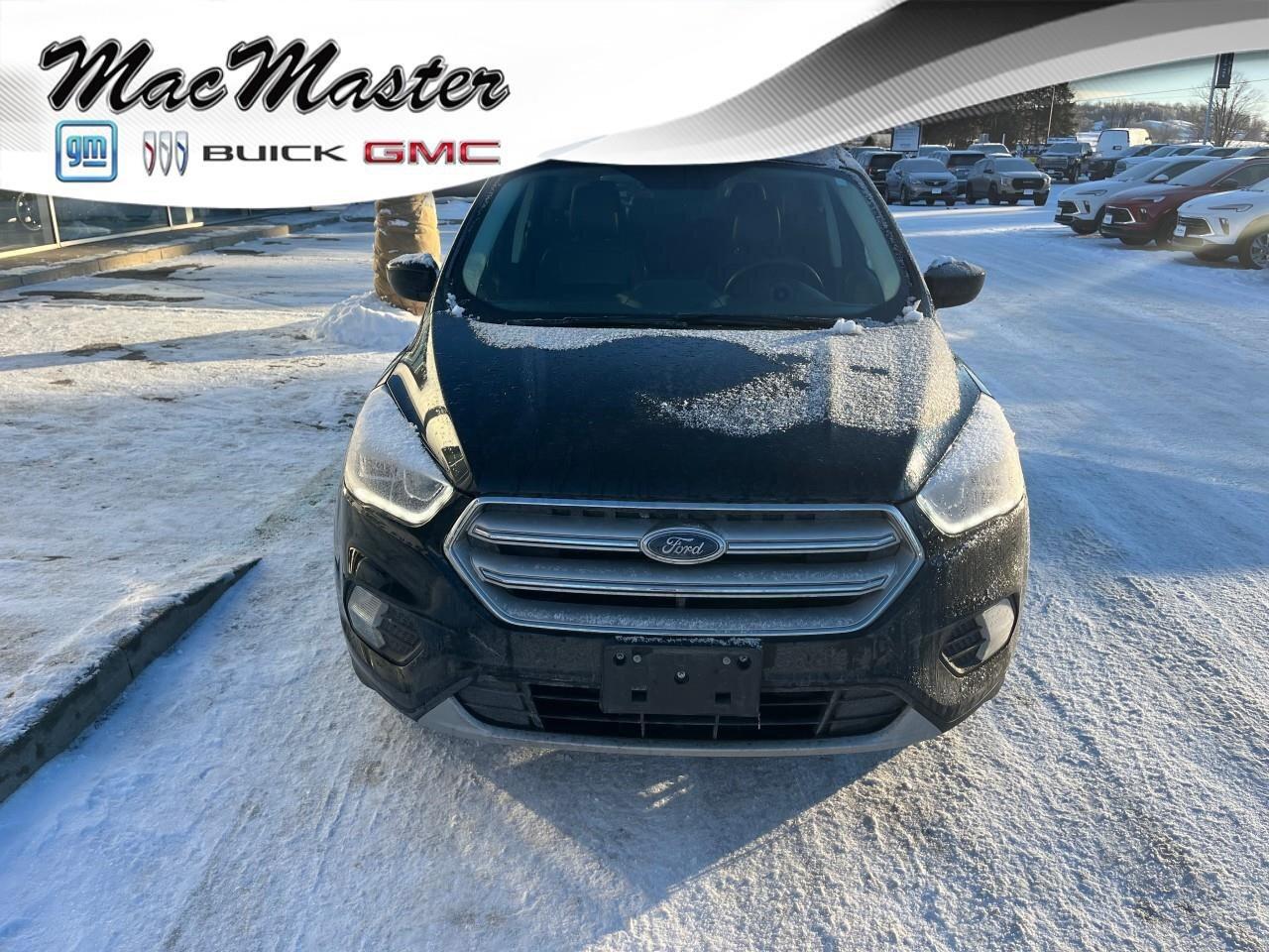 2019 Ford Escape SELSEL, 1.5 L 4 CYLINDER, AWD, ALLOYS, SNOWS, LOW Photo