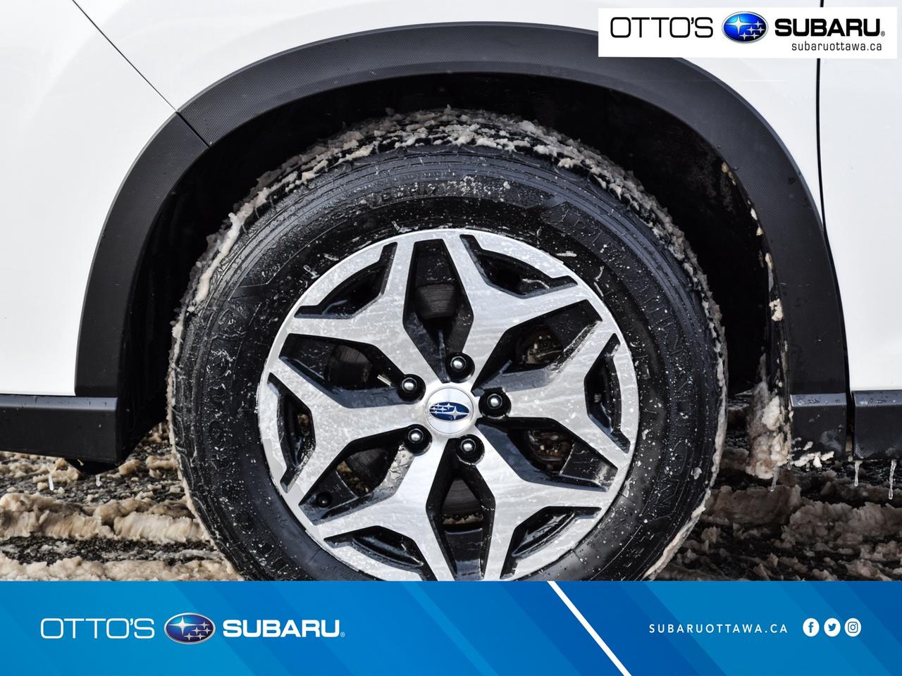 2024 Subaru Forester TOURING AWD Photo