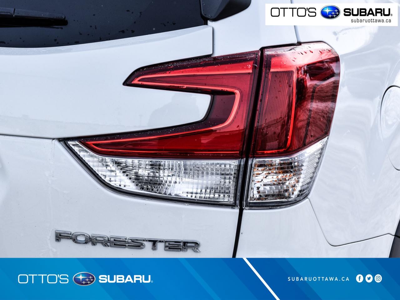 2024 Subaru Forester TOURING AWD Photo