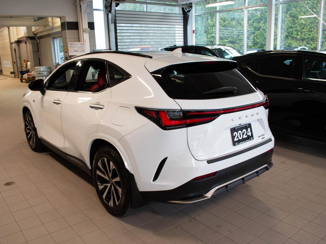 2024 Lexus NX 350  Photo