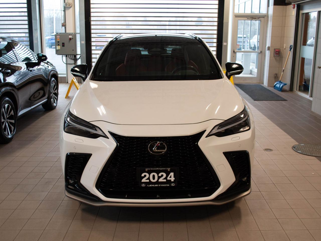 2024 Lexus NX 350  Photo