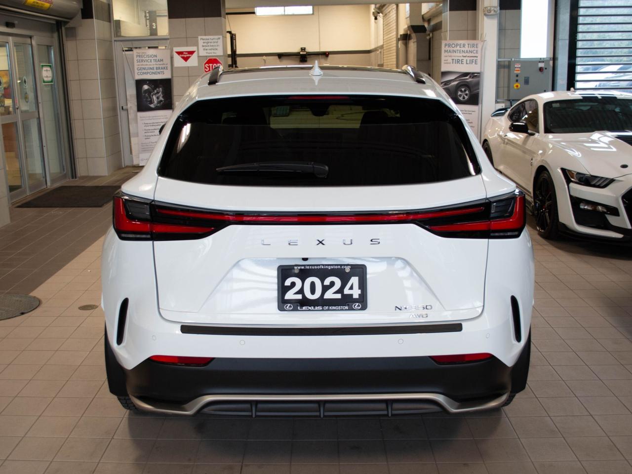 2024 Lexus NX 350  Photo