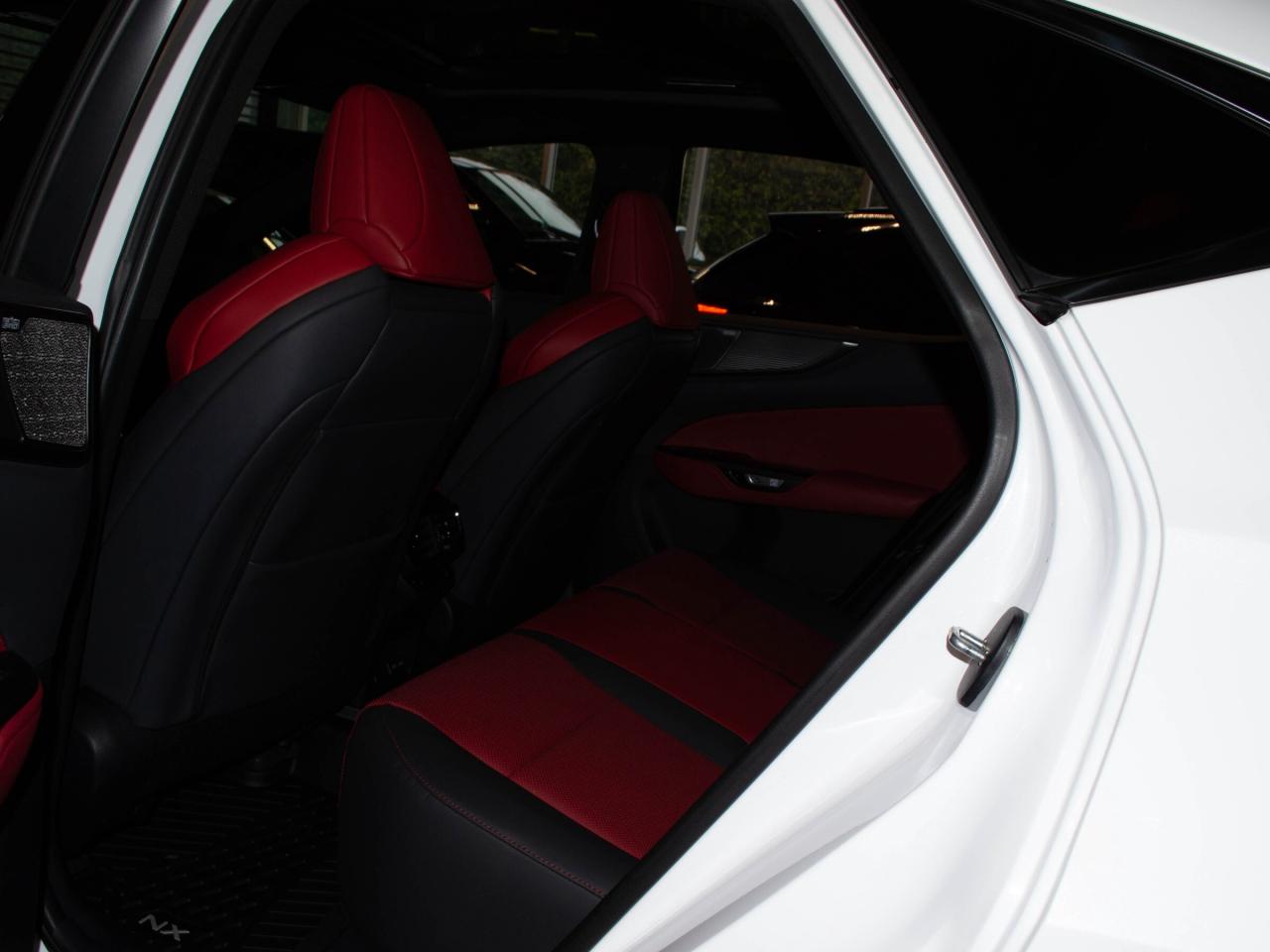 2024 Lexus NX 350  Photo