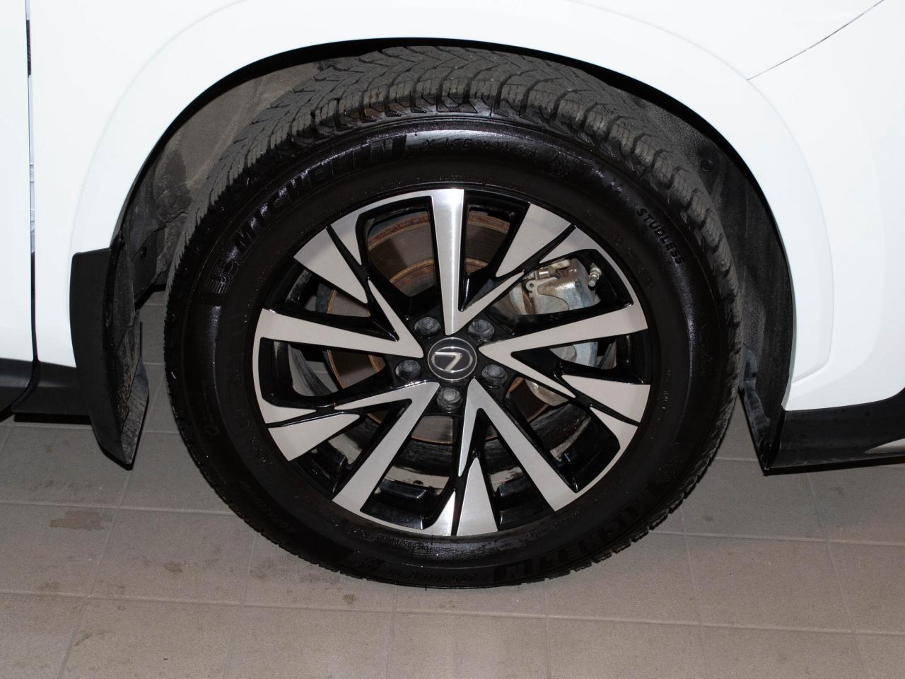 2024 Lexus NX 350  Photo