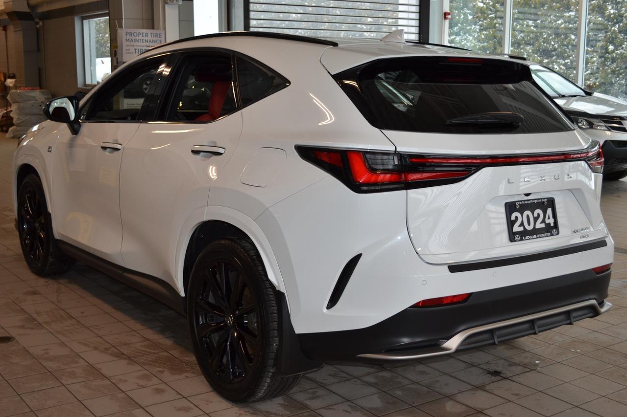 2024 Lexus NX 350  Photo