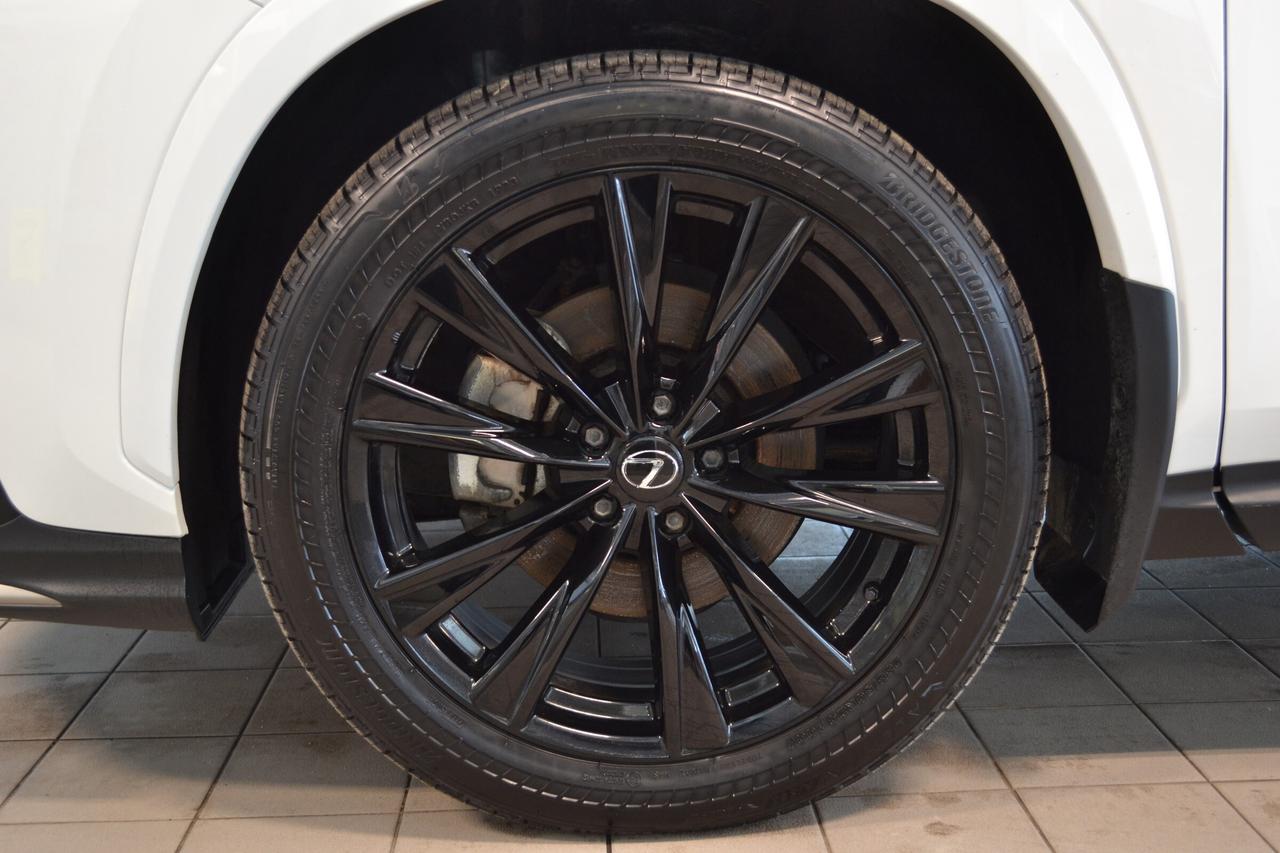 2024 Lexus NX 350  Photo