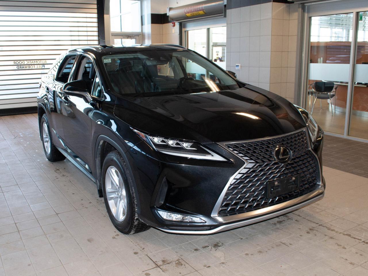 2022 Lexus RX 350  Photo