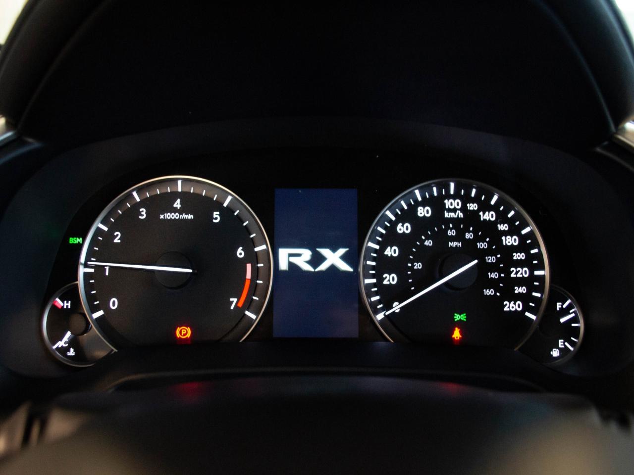 2022 Lexus RX 350  Photo