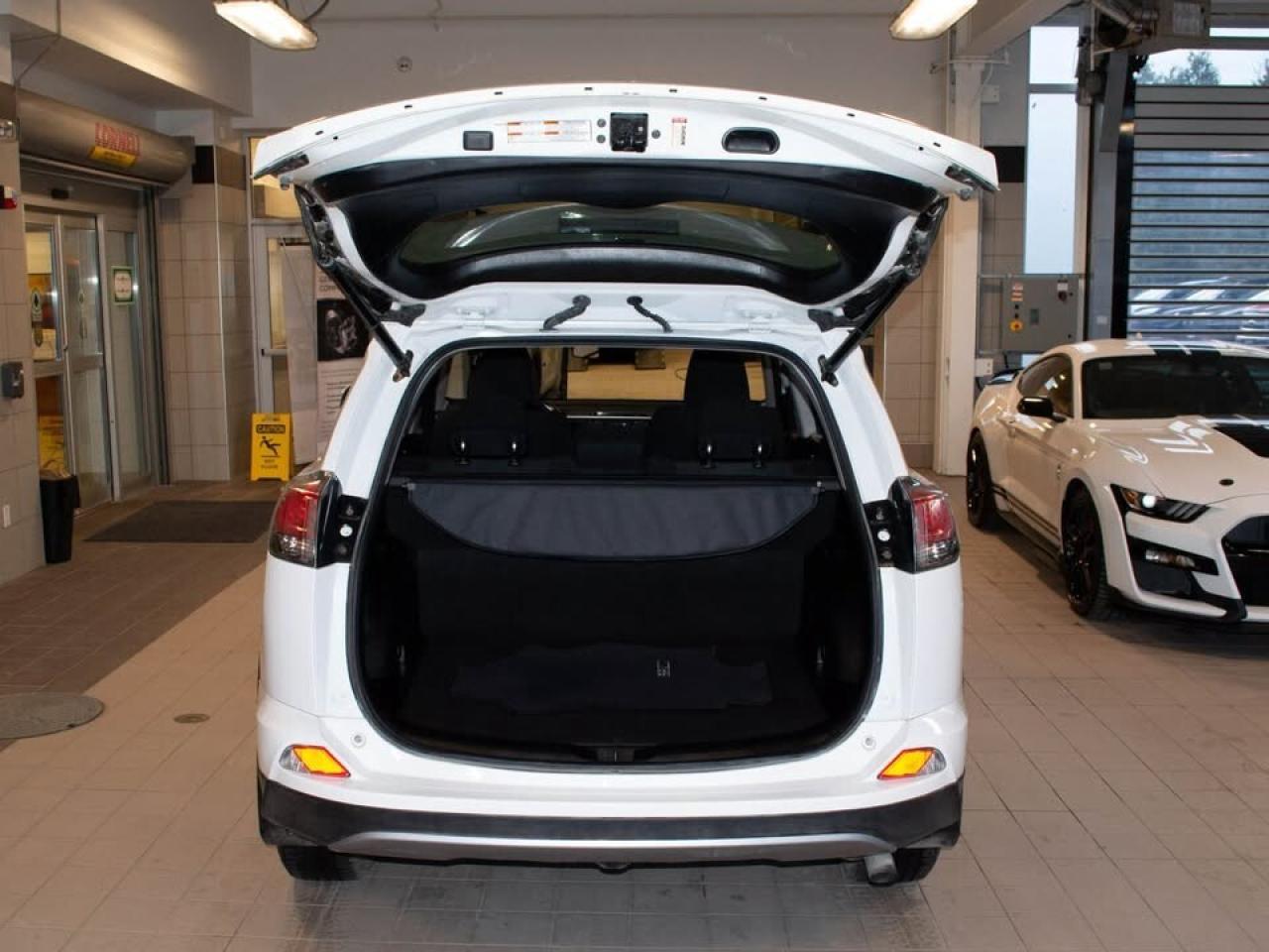 2018 Toyota RAV4 XLE Photo