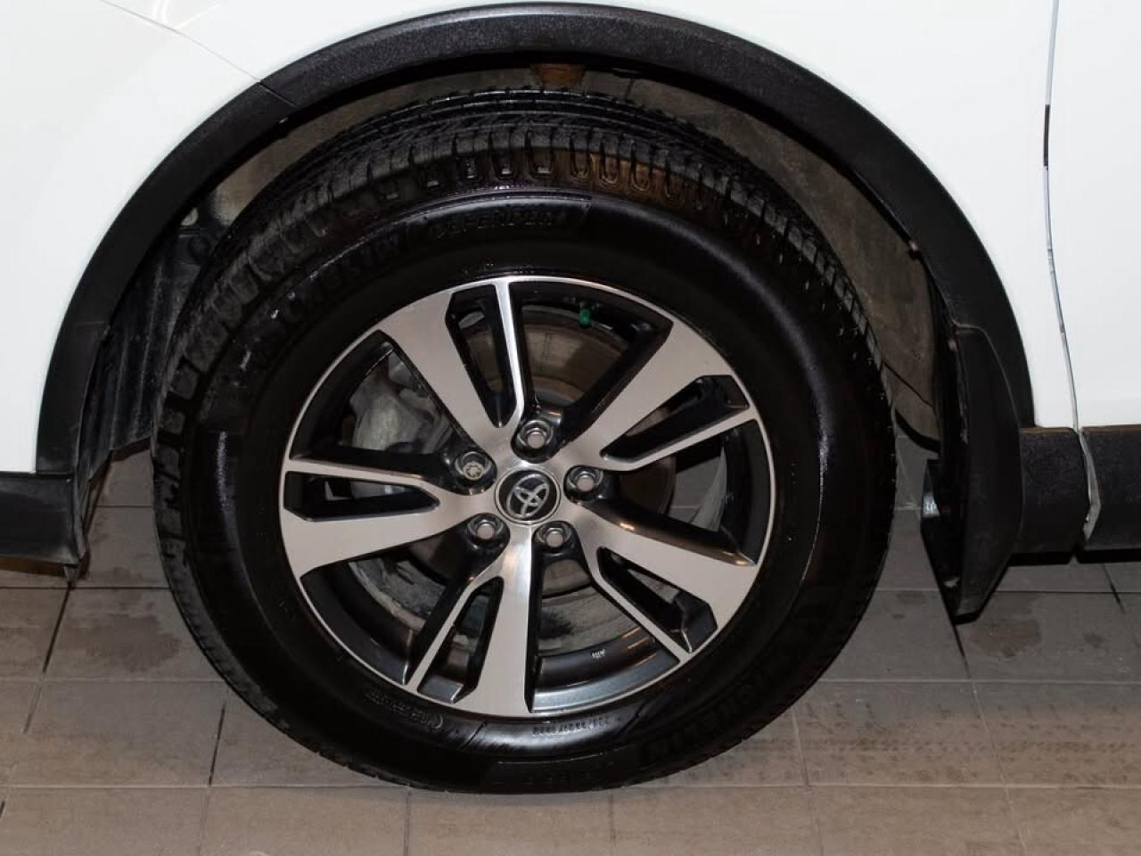 2018 Toyota RAV4 XLE Photo