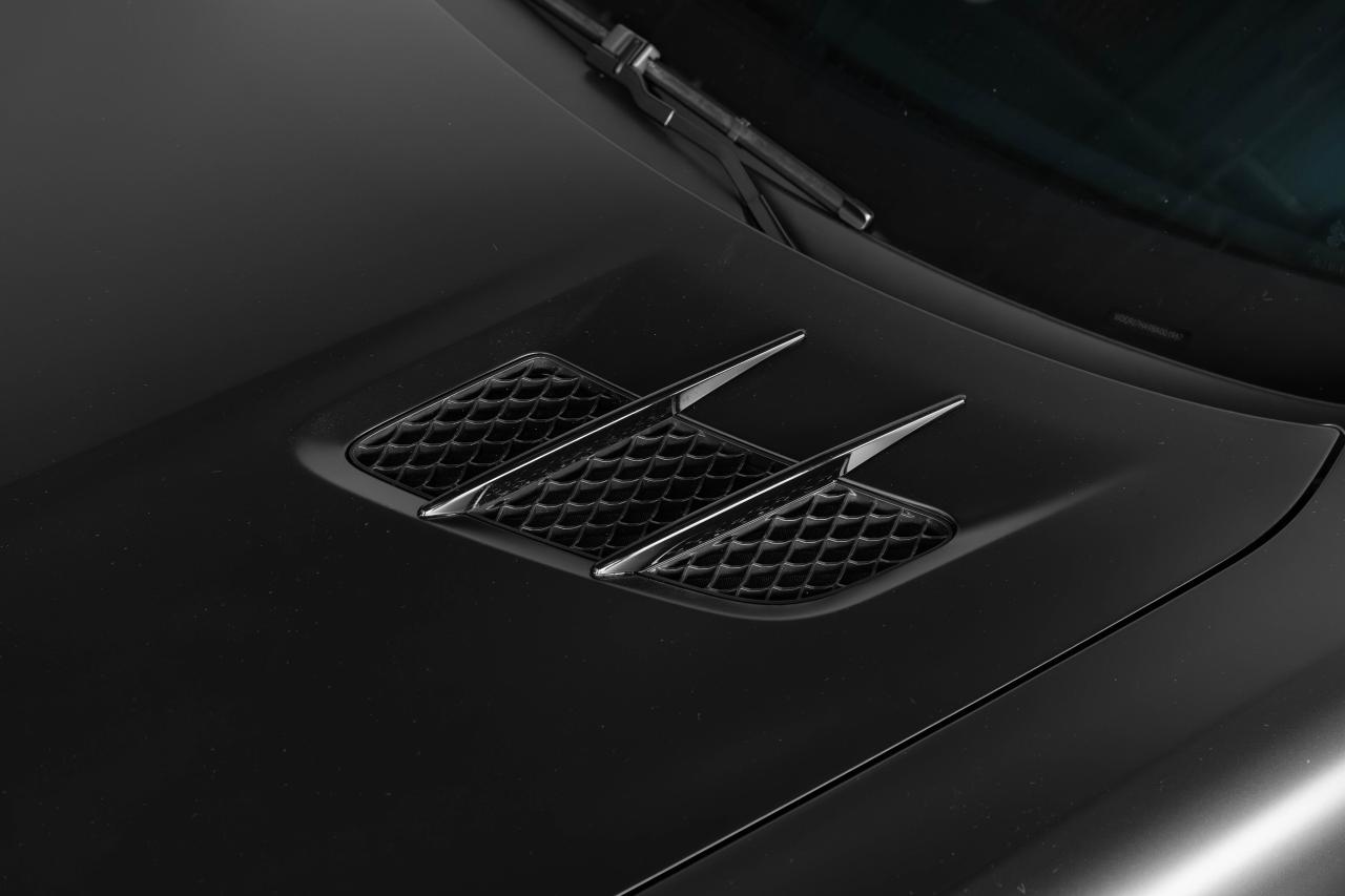 2011 Mercedes-Benz SLS AMG 2dr Cpe SLS AMG Photo