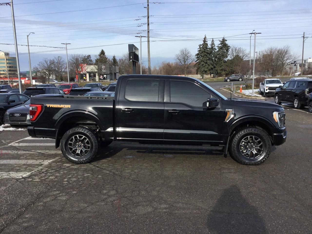 2022 Ford F-150  Photo
