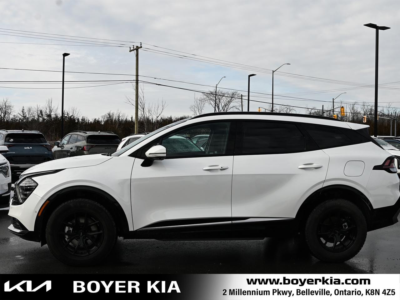 2025 Kia Sportage Plug-In Hybrid SX w/Black Interior COMES WITH SNOWS ON ALLOYS TOO Photo