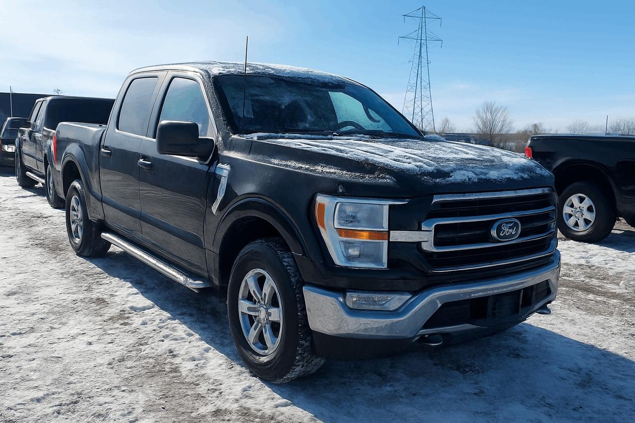 2025 Ford F-150 XLT 4WD SuperCrew 5.5' Box Photo