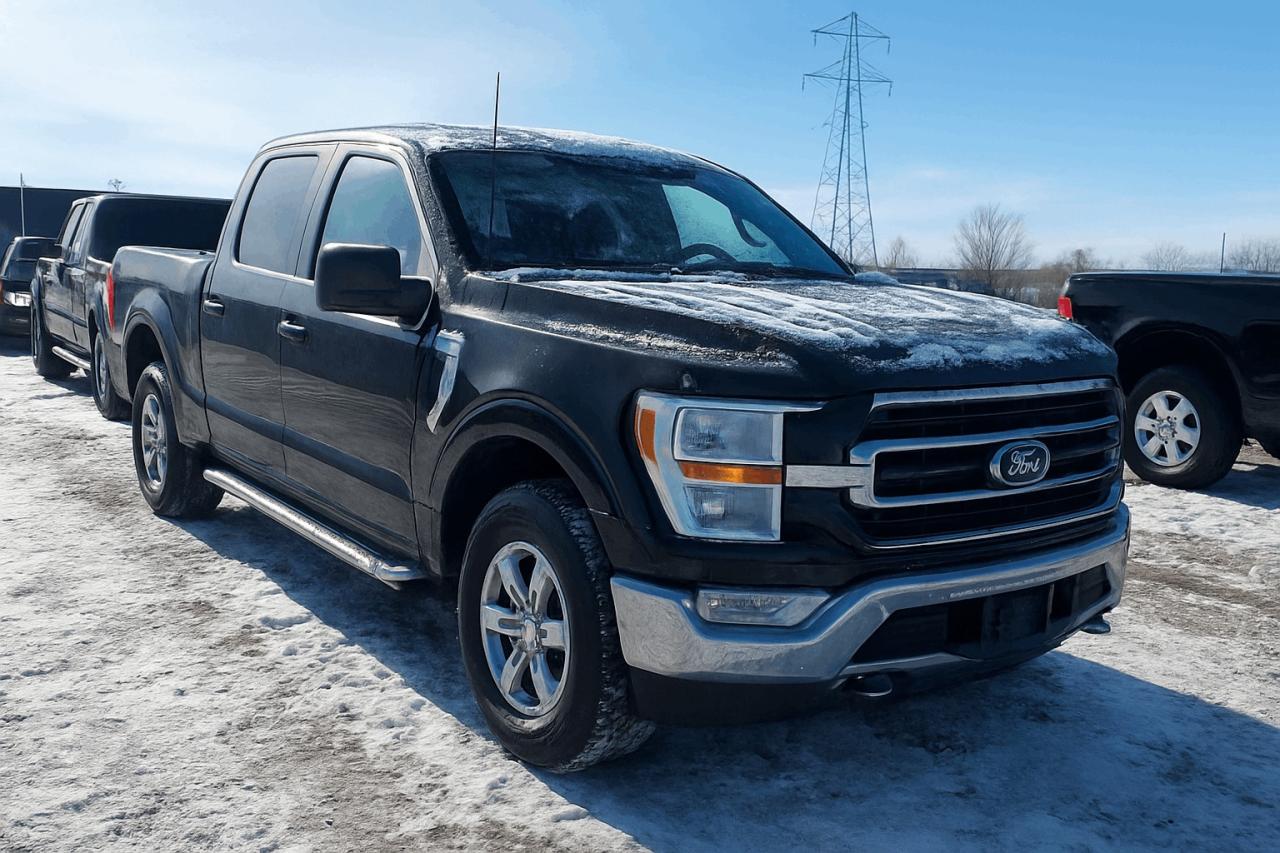 2025 Ford F-150 XLT 4WD SuperCrew 5.5' Box Photo0