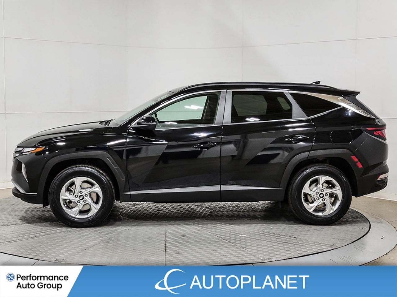 2024 Hyundai Tucson Preferred AWD - FINANCE @$90/WK OR LEASE @$114/WK Photo3