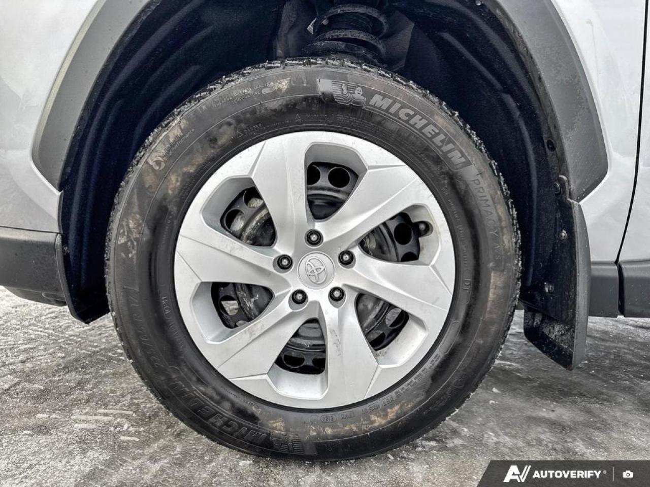 2024 Toyota RAV4 LE Photo