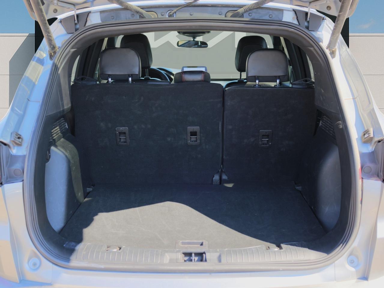 2023 Ford Escape ST-Line   Leather   Power Liftgate   Climate Ctrl Photo