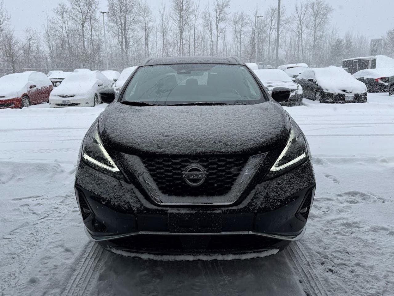 2024 Nissan Murano Platinum Photo