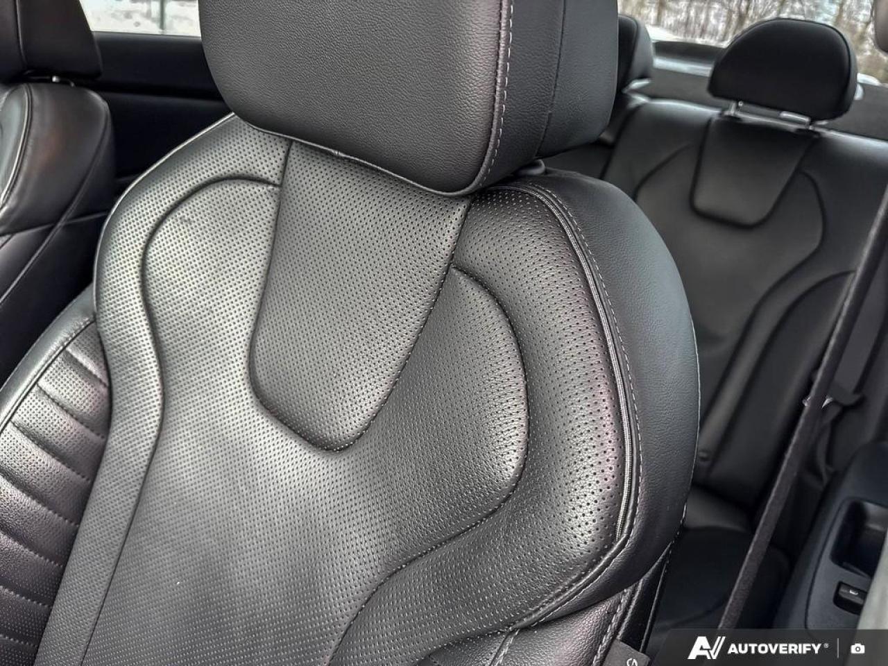 2023 Hyundai Elantra Luxury Photo