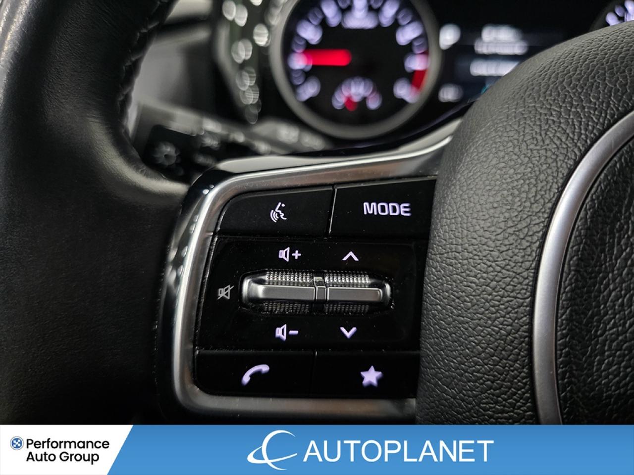 2024 Kia Carnival EX - FINANCE @$143/WK OR LEASE @$175/WK Photo