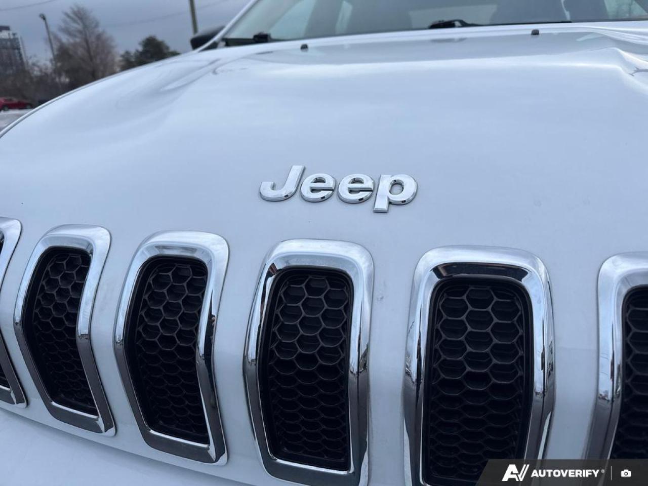 2016 Jeep Cherokee Sport BLUETOOTH   BRAKE ASSIST   KEYLESS ENTRY   P Photo