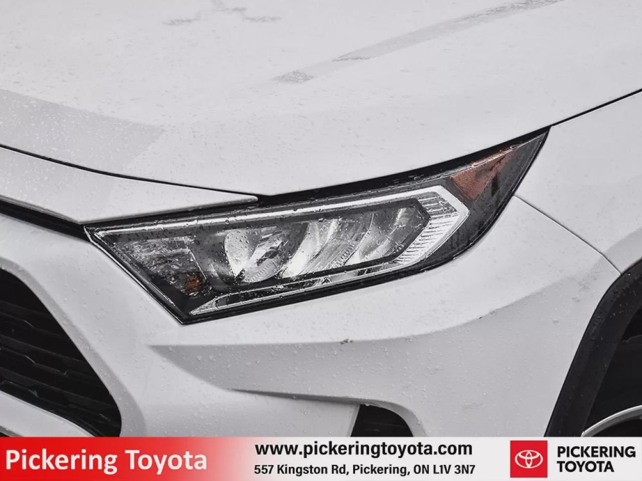 2021 Toyota RAV4 XLE Photo